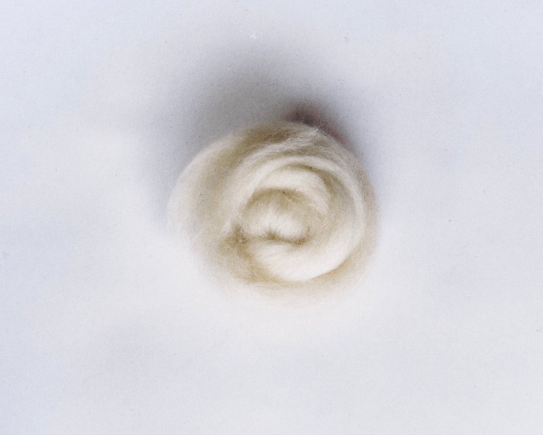 Wool at Especie Humana