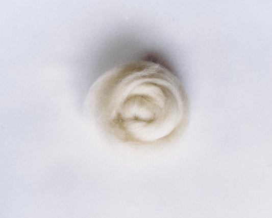 Wool at Especie Humana