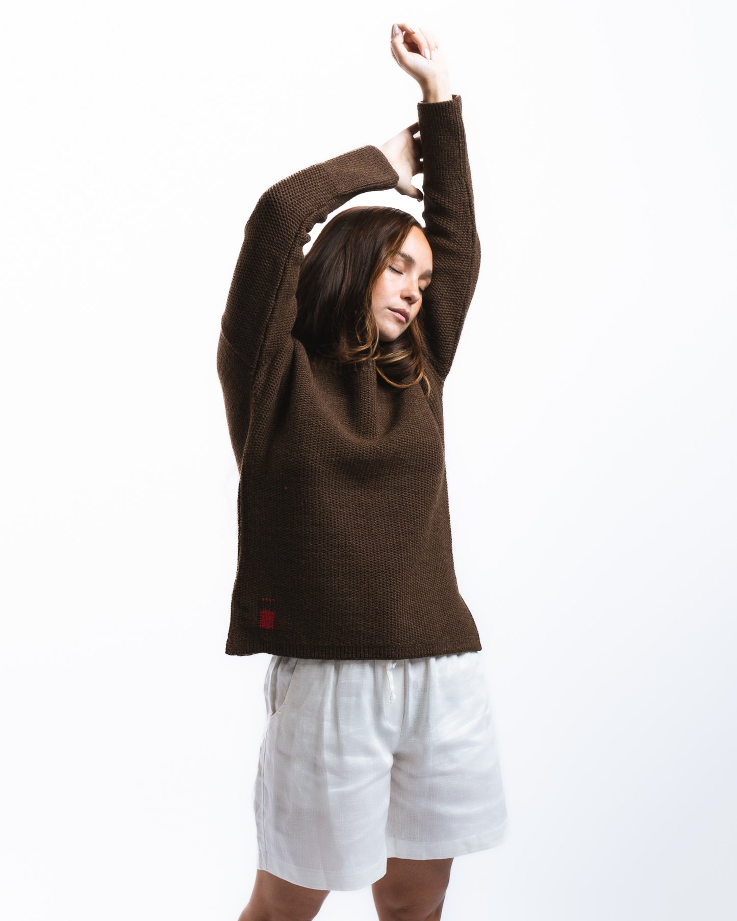 Sweater ANDAR Brown